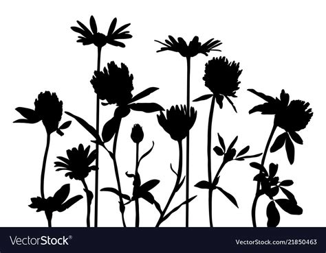 Silhouettes Wild Flowers Royalty Free Vector Image