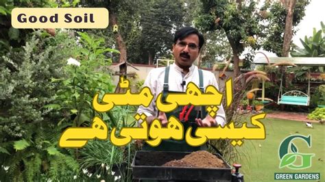 Best Soil How To Prepare Good Soil Youtube