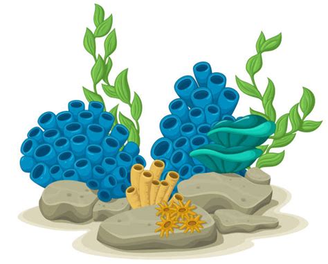 Yellow Sea Sponge Illustrations Royalty Free Vector Graphics And Clip Art Istock