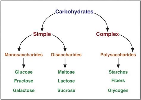 Introduction To Carbohydrates Human Nutrition