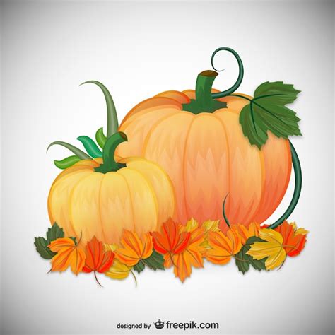 Autumn Pumpkins Illustration Free Vector