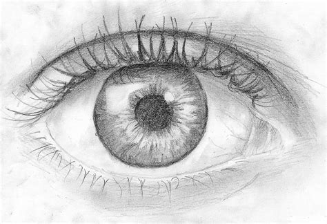 How To Draw How To Draw An Eye In Pencil