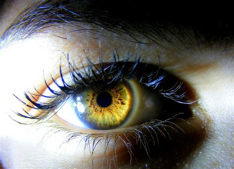 Yellow Eyes Human