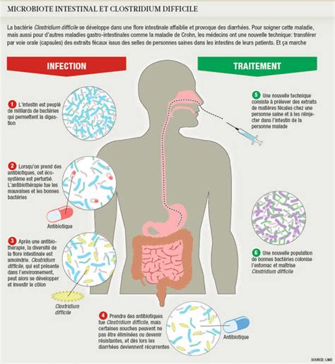 Le Microbiote Intestinal Est Un Trésor Pour La Santé Planete Sante