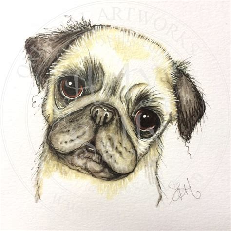 Pug Drawing At Explore Collection Of Pug Drawing