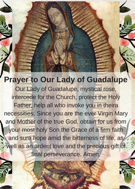 We did not find results for: Our Lady of Guadalupe free printable and resources for our ...