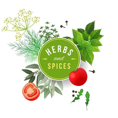ᐈ Spices stock illustrations, Royalty Free spices vectors | download on Depositphotos®