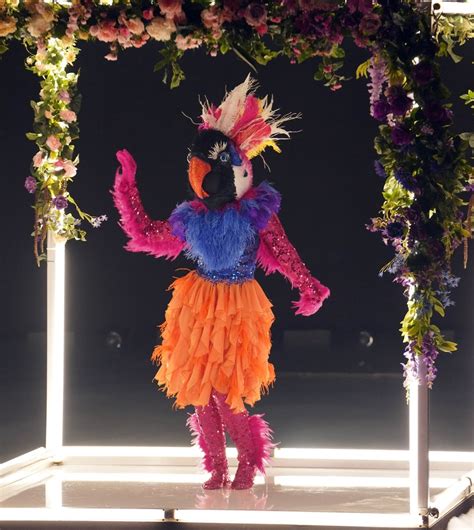 The masked dancer is premiering sunday, december 27, 2020 at 8 p.m. This 'Masked Dancer' Exotic Bird Theory Points To An 'American Idol' Winner