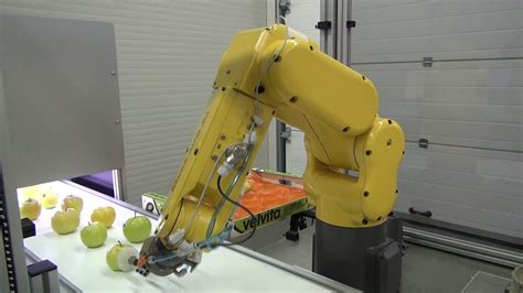 Robotic Machine For Sorting And Packing Fruit Youtube