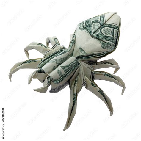 Spider On Dollar Bill