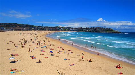 Blazing The Coastal Trail From Bondi To Coogee Beach Native Foreigner