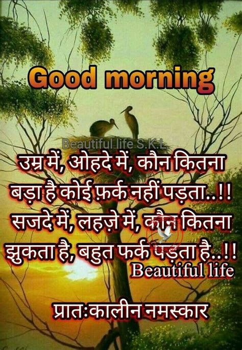 Pin By Shashikant Nebhwani On Good Morng Noon Evening Good Morning
