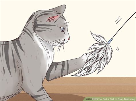 Some cats meow every time someone walks in the kitchen, hoping to get a bite. 4 Ways to Get a Cat to Stop Meowing - wikiHow