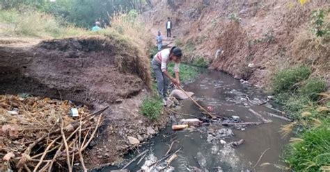 Manos a la obra ciudadanos limpian el cauce del río de Cervera en