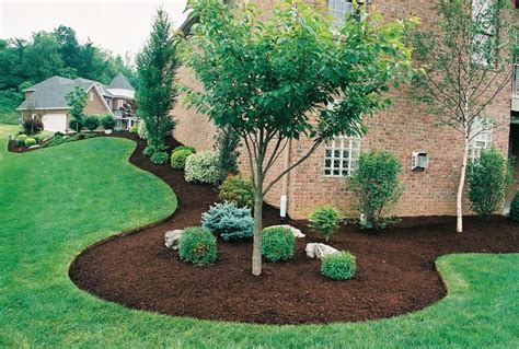 Image Result For Light Brown Mulch Backyard Landscaping Mulch
