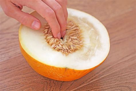 Half A Melon In A Cut Simulation Of Masturbation Female Finger Stock Image Image Of Fruit