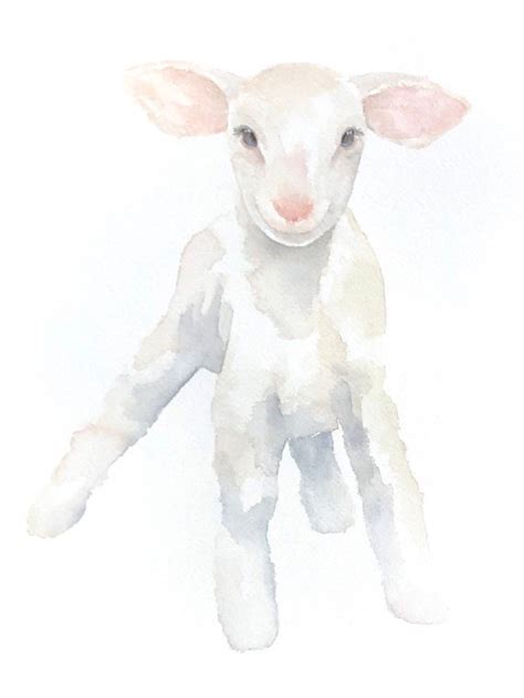 The Best Free Lamb Watercolor Images Download From 92 Free Watercolors