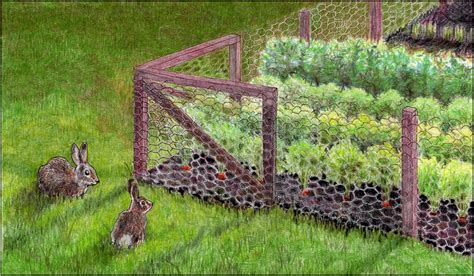 Best Fencing To Keep Rabbits Out Of Garden Home And Garden Designs
