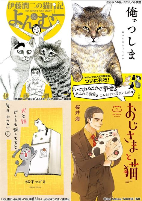 名站推薦 tips：2021年6月24日 已更新失效連結 total 13 ». 最も人気のある! 伊藤 潤二 猫 漫画 293678