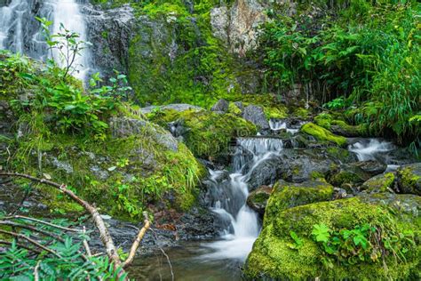 Waterfall Among Mossy Rocks And Greenery Mountain River On Summer Day