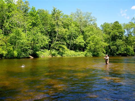 Is Swiss Madison A Good Brand - Swiss Madison Sublime Toilet Reviews