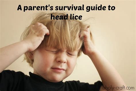 Head Lice Prevent It Treat It Or Blow Up Your House And Start Over