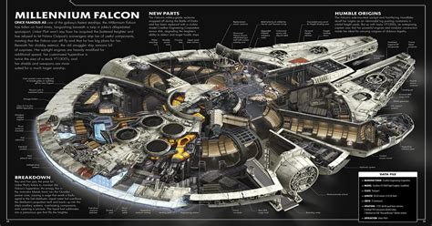 Schematics Of The Millennium Falcon