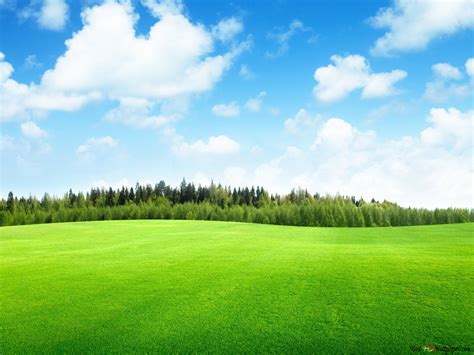 Green Landscape Hd Wallpaper Download