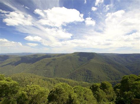 Barrington Tops National Park Nsw Holidays And Accommodation Things To