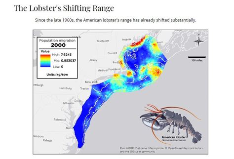 As Lobsters Shift North Due To Rising Temps Ri Fishing Industry