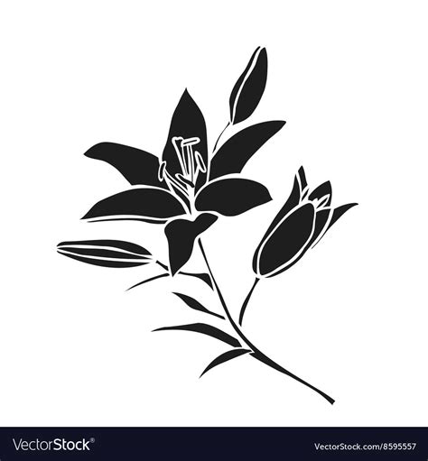 Black Silhouette Lily Royalty Free Vector Image