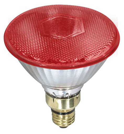 Par38 100w Clear Heat Lamp Bulb