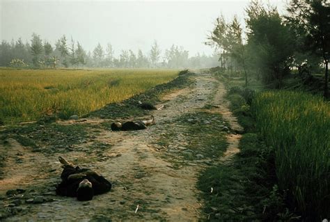 The Truth Behind My Lai The New York Times
