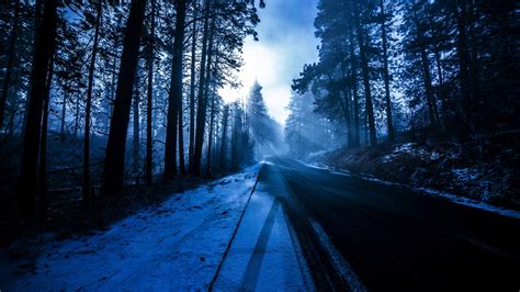Wallpaper Trees Forest Road Snow Winter Sun Rays Blue 1920x1080