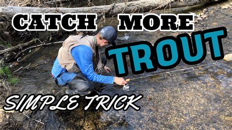 Catch More Trout By Doing This Trick So Simple Youtube