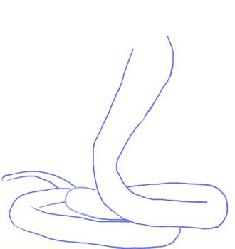 Side (1), front (2) and top (3). How to Draw a King Cobra Snake - Draw Step by Step