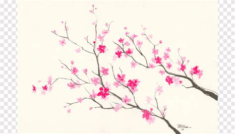 Free Download Cherry Blossom Drawing Pencil Sketch Sakura Flower