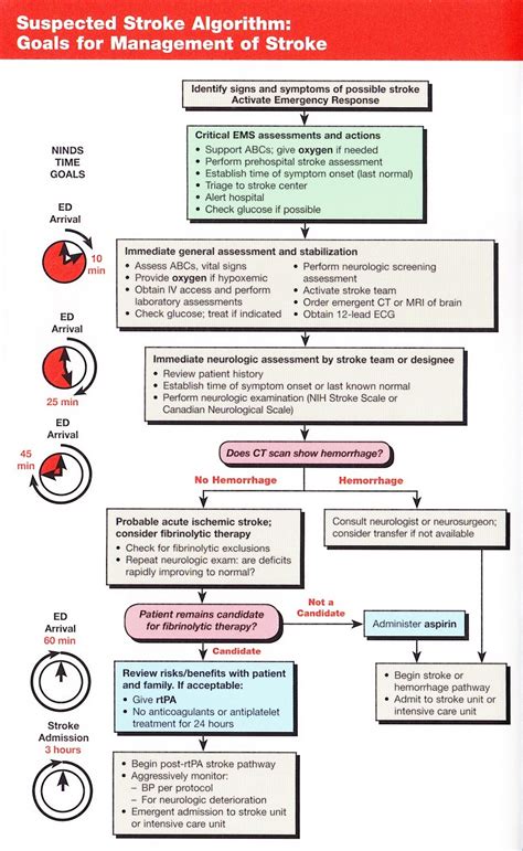 There are two main types of stroke: Suspected Stroke Algorithm: Goals for Management of Stroke ...