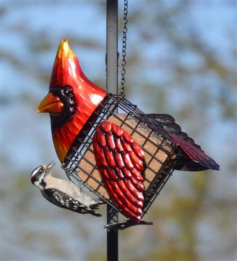 Metal Cardinal Suet Bird Feeder Eligible For Promotions Wind And
