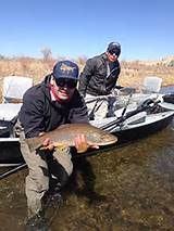 Images of Park City Fly Fishing Guides