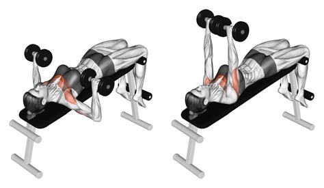 7 Best Dumbbell Bench Press Variations With Pictures Inspire Us