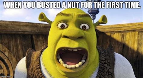 Image Tagged In Shrek Bust A Nut Imgflip
