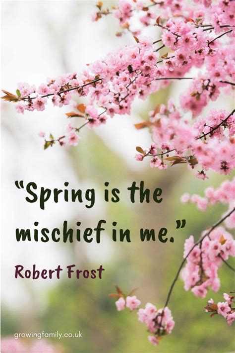 100 Spring Quotes And Spring Sayings To Inspire And Energise You The
