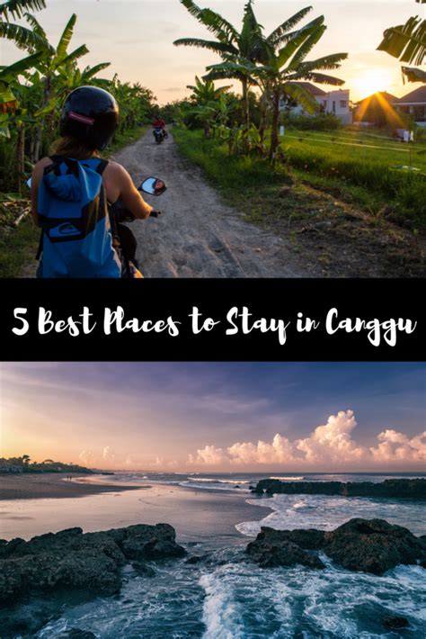 5 Best Places to Stay in Canggu, Bali (for all budgets) - Global