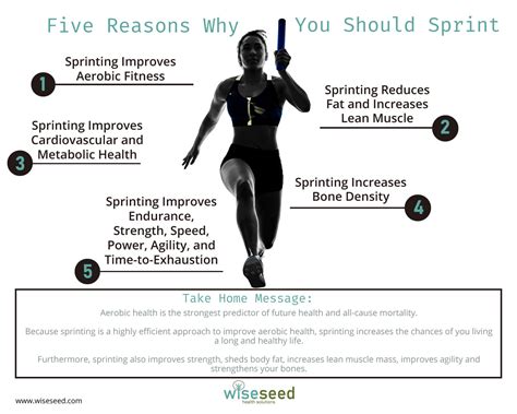 Five Reasons Why You Should Sprint Wise Seed Health Solutions