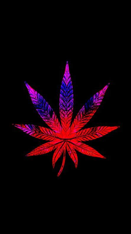 Amsterdam cannabis and grinder is a 4k wallpaper posted in accessories category. Weed Ringtones and Wallpapers - Free by ZEDGE™