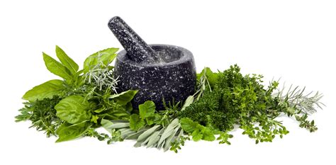 The meaning and symbolism of the word - Herbs
