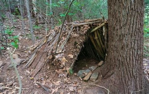 7 Simple Survival Shelters You Have To Know Defiel