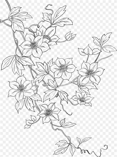 Embroidery Pattern Drawing