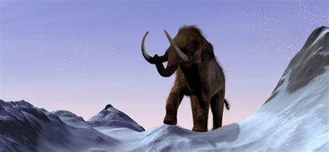 Wann war die letzte impfung? Eine andere Welt: Leben in der Eiszeit